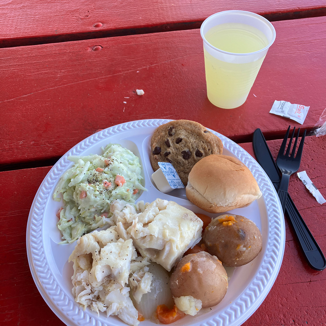 dinner of fish, potatoes, coleslaw, roll, cookie, and lemonade on a red picnic table